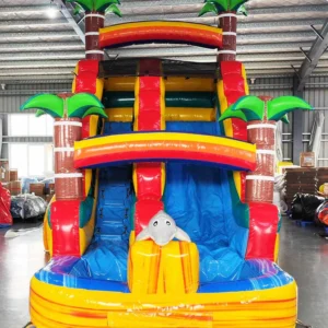 Dolphin Inflatable Water Slide